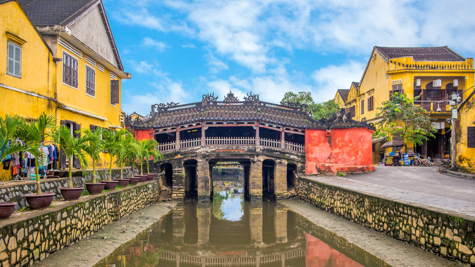 Tour Sơn Trà - Rừng Dừa 7 mẫu - Hội An - Image - 6867