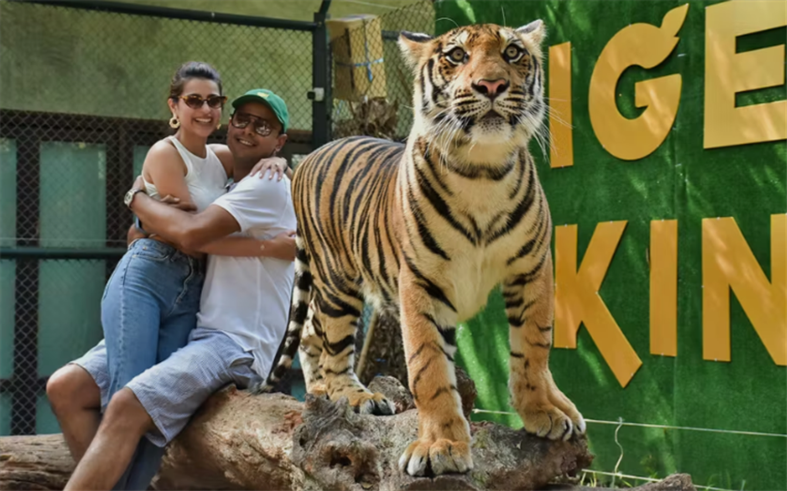 Phuket City Tour - Big Buddha and Tiger Kingdom or Tiger Park with Private Car Without Guide - Image - 1956