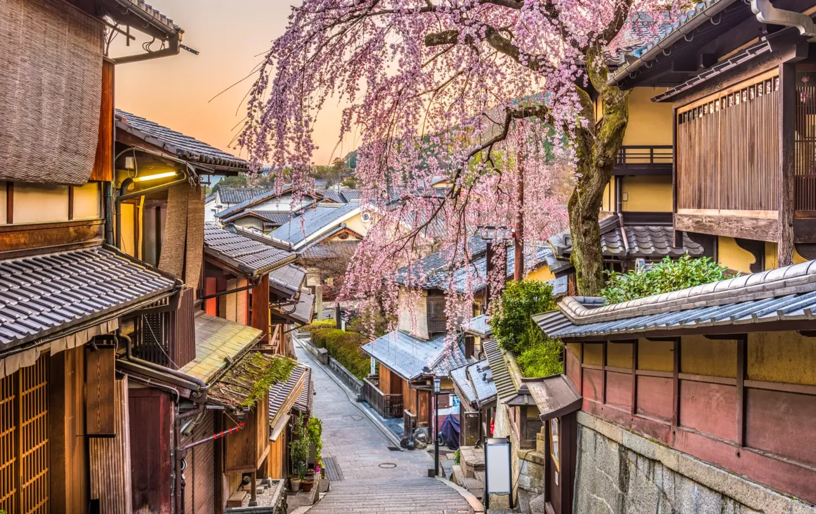 Japan Tour | Ho Chi Minh City – Tokyo – Mt. Fuji – Kyoto – Osaka (6D5N)