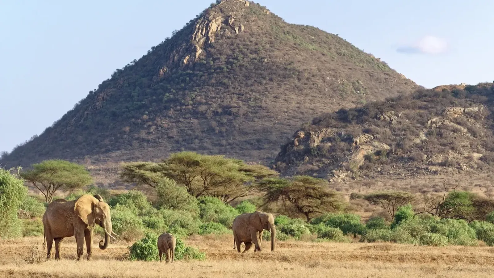 4 DAYS SERENGETI AND NGORONGORO CRATER . (WITH AN EXTRA FULL DAY AT SERENGETI N.P) - Image - 10774