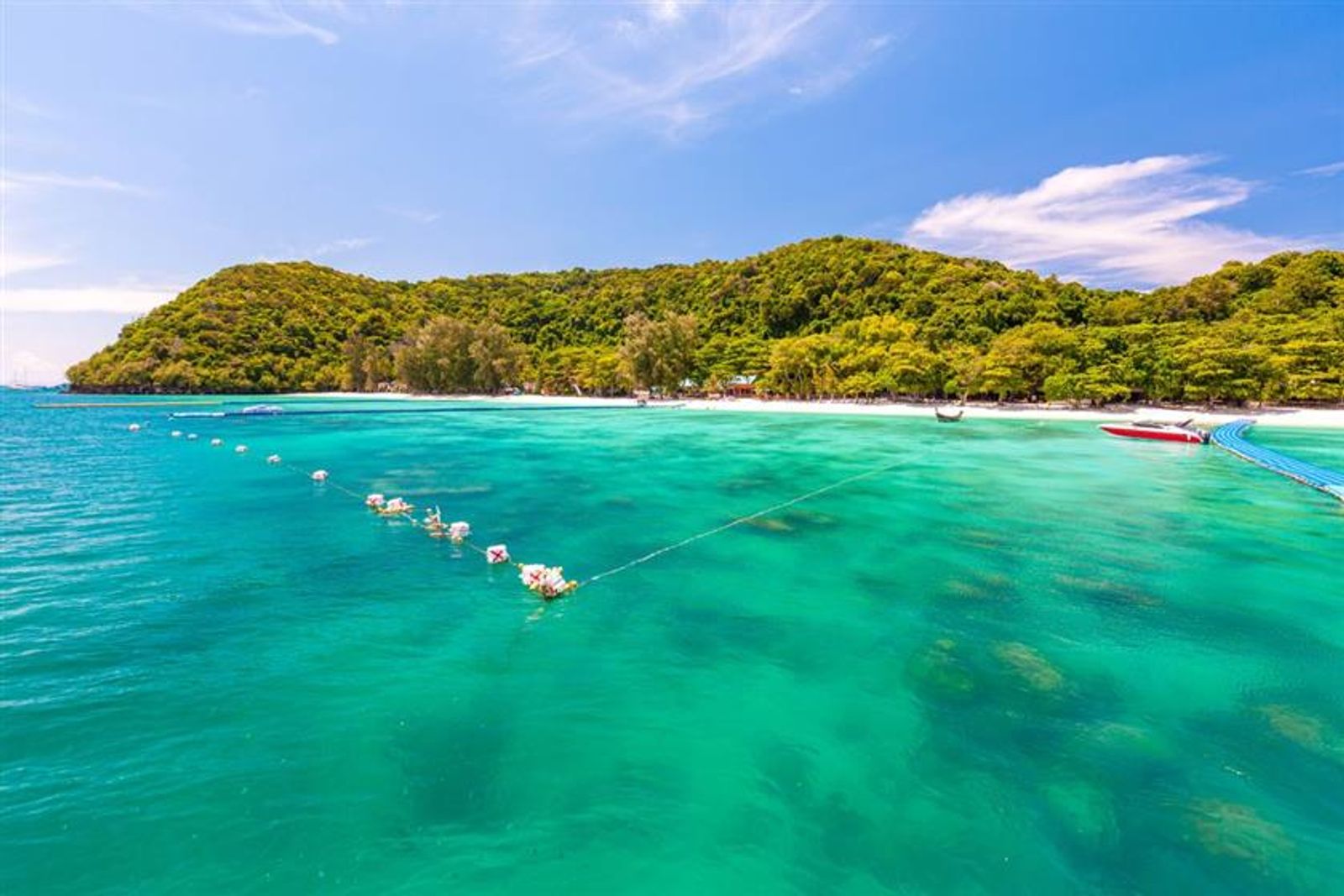 Phuket Full Day Coral Island Tour By Speed Boat - SIC Van Transfer - Image - 1966