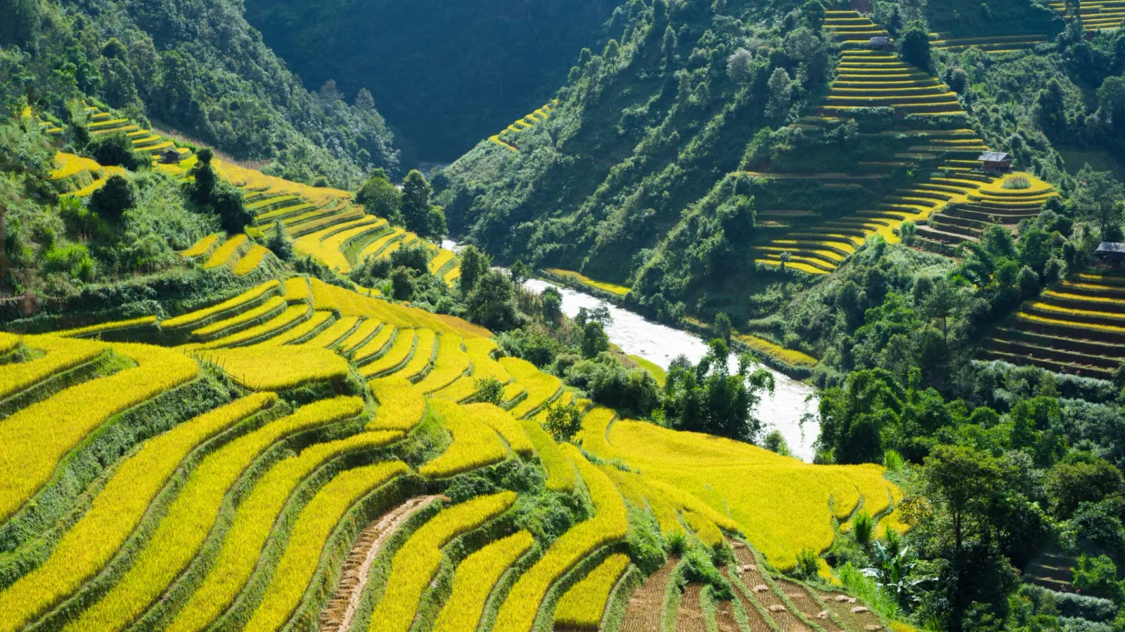 5D4N EXCITED HANOI SAPA WITH FANSIPAN PEAK - Image - 695