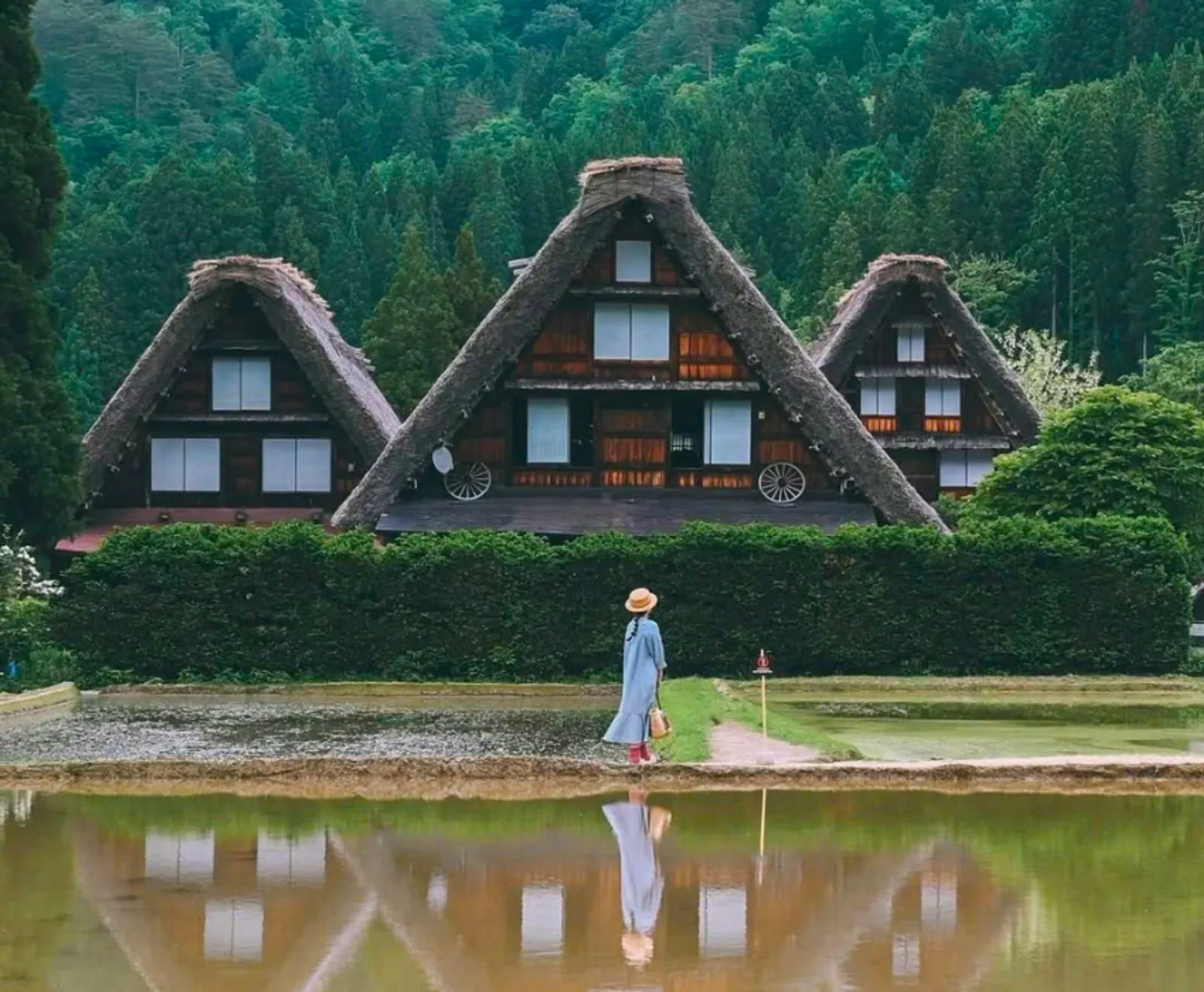 Japan's Golden Route: Osaka – Kyoto – Shirakawago – Fuji – Tokyo – Narita - Image - 534