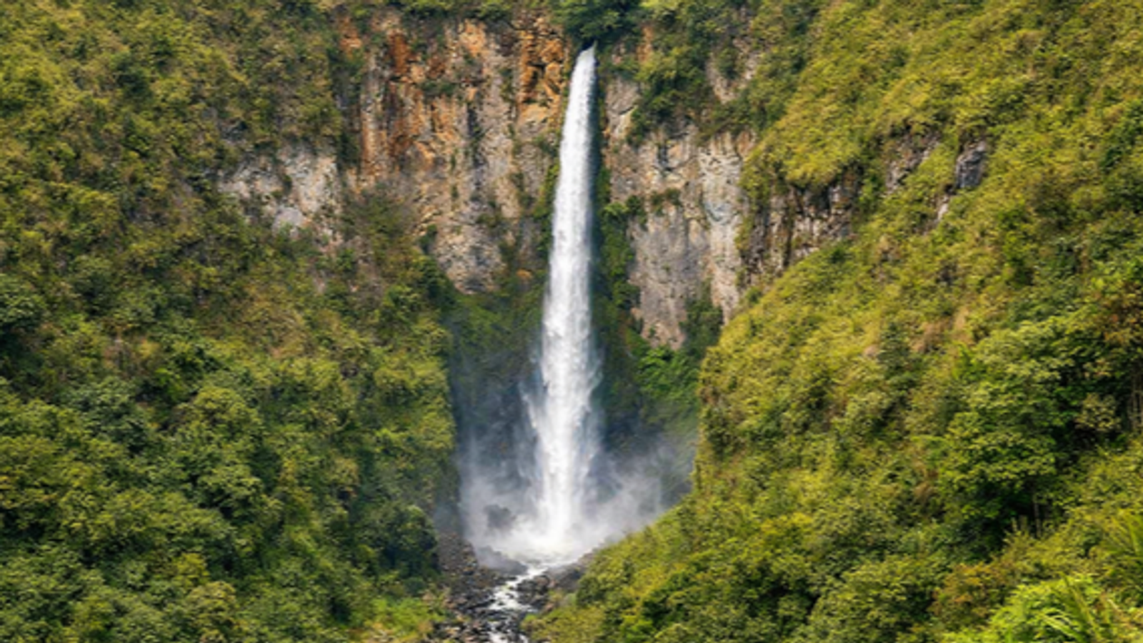 6D5N MEDAN-BUKIT LAWANG-LAKE TOBA TOUR - Image - 7423