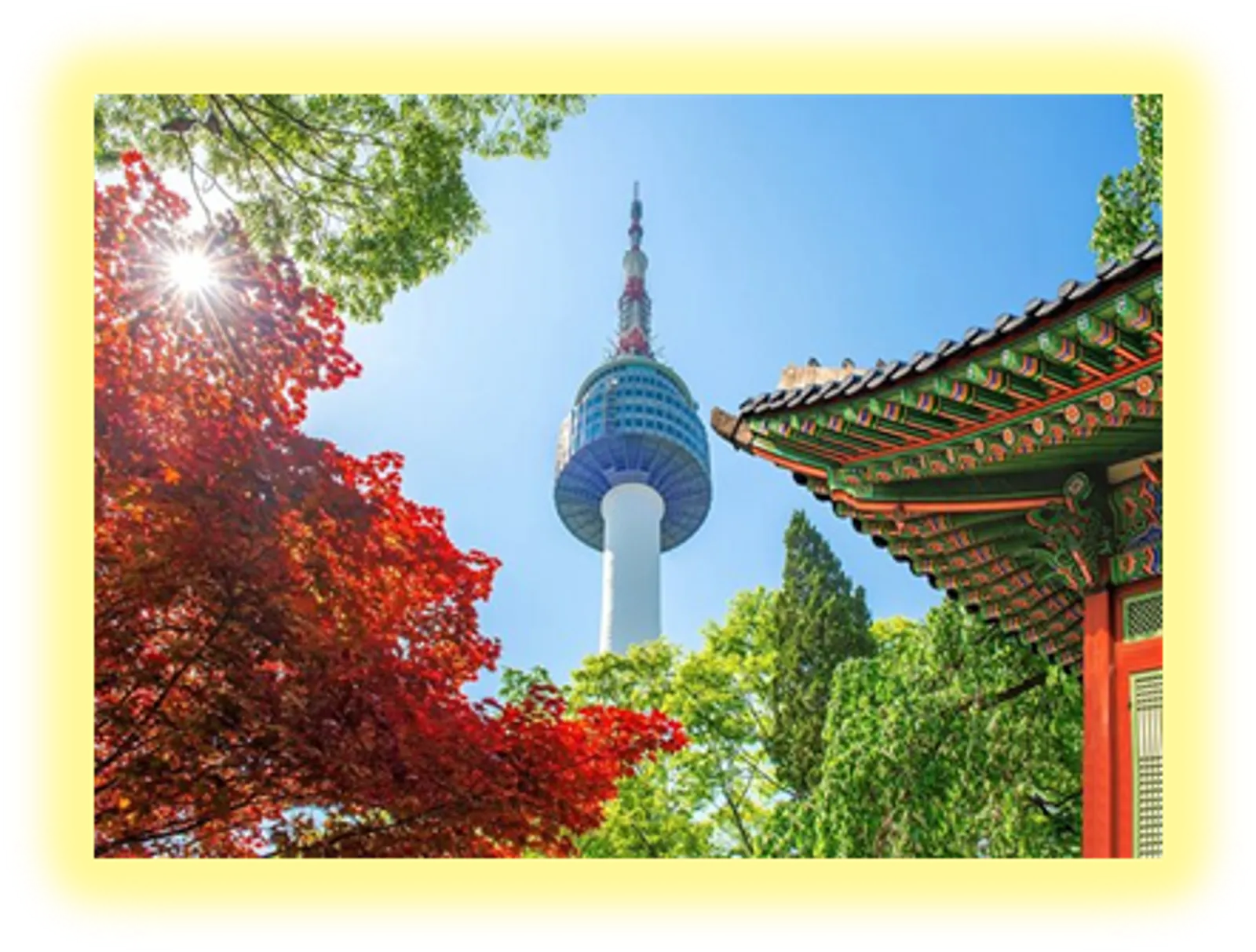 Tour Hàn Quốc: Busan - Daegu - Seoul 6 ngày 5 đêm - Image - 891