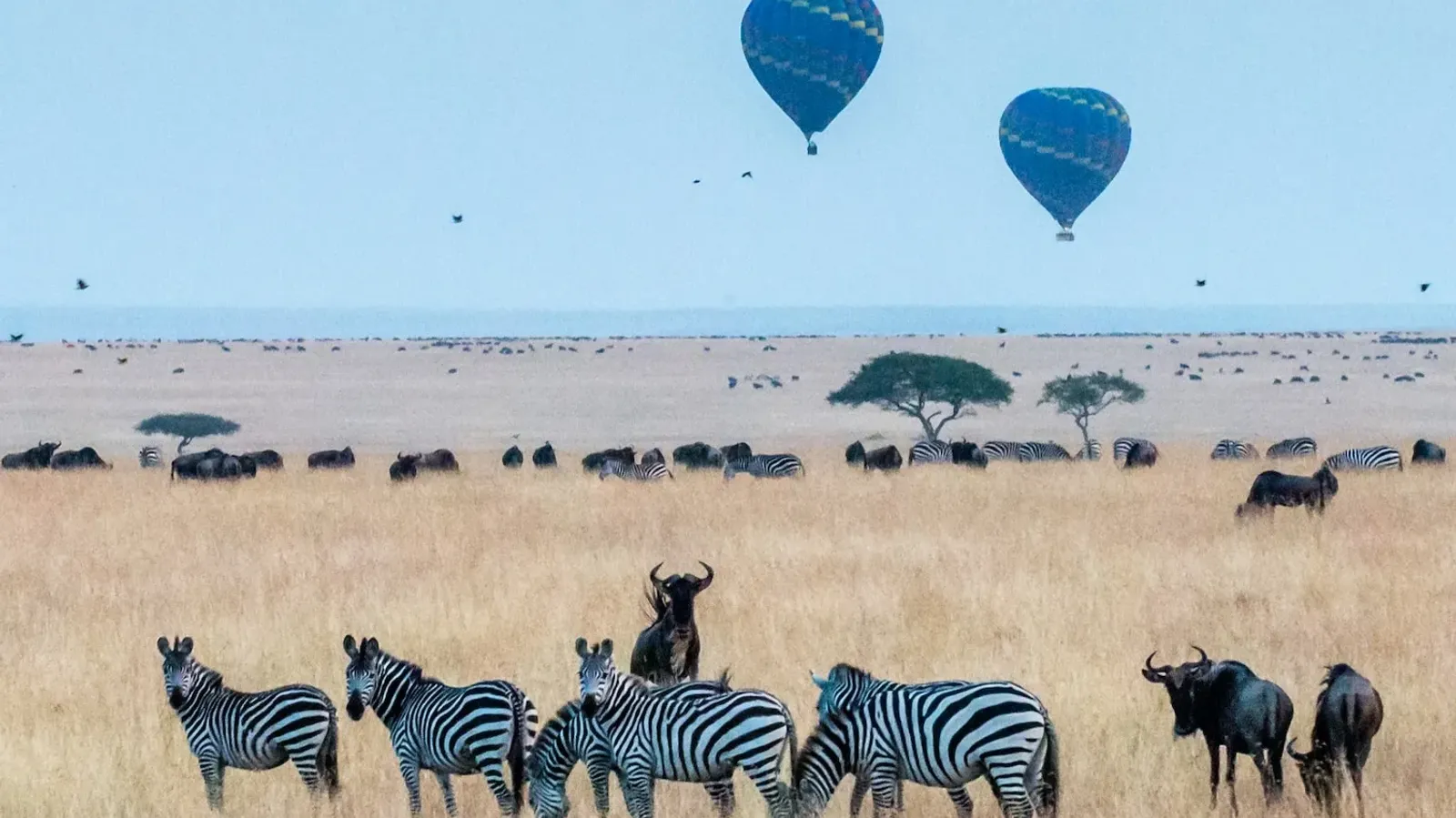Sunrise Hot Air Balloon in Maasai Mara National Park