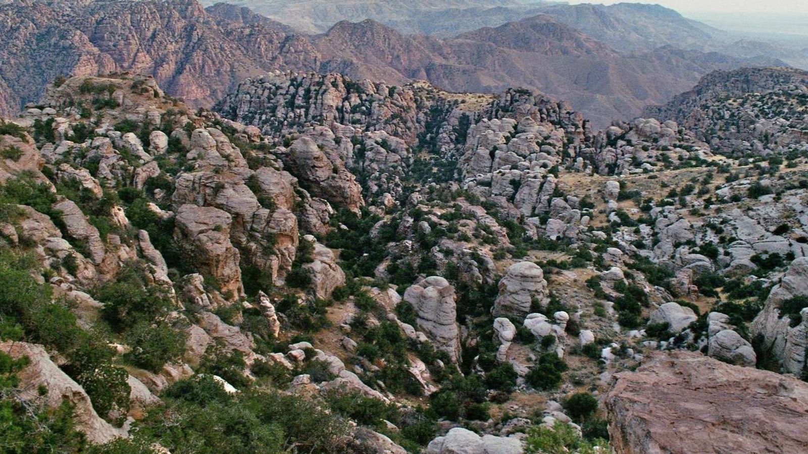 7-Day Classical Jordan Tour from Queen Alia Airport - Image - 11844