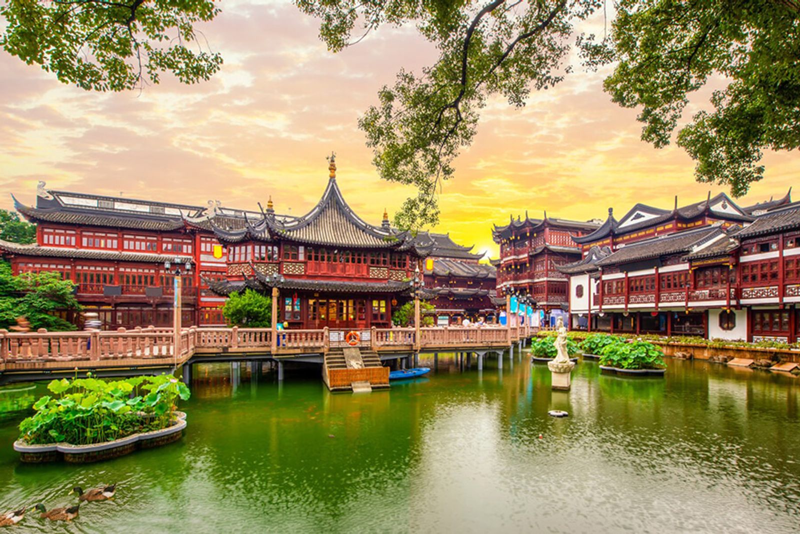 HÀ NỘI - THƯỢNG HẢI – HÀNG CHÂU - Ô TRẤN  OPTION DISNEYLAND - Image - 3581