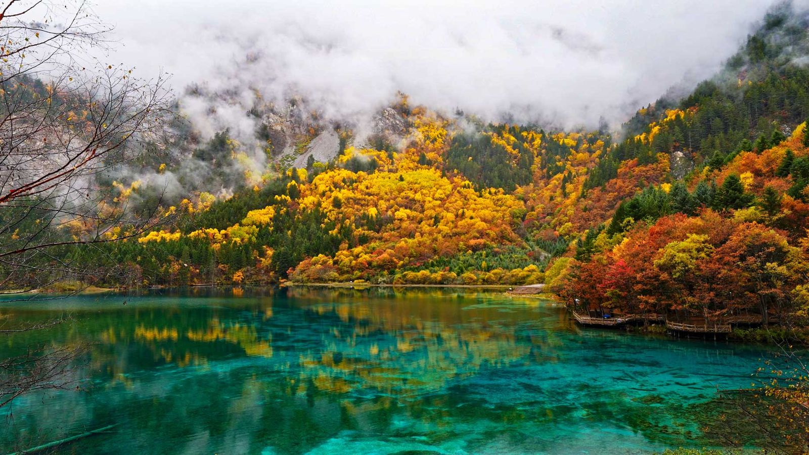 Tour du lịch Trùng Khánh - Cửu Trại Câu 5 ngày 5 đêm)  - Image - 801