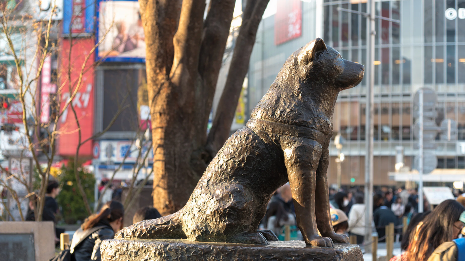 6D5N Tokyo Escape - Image - 930