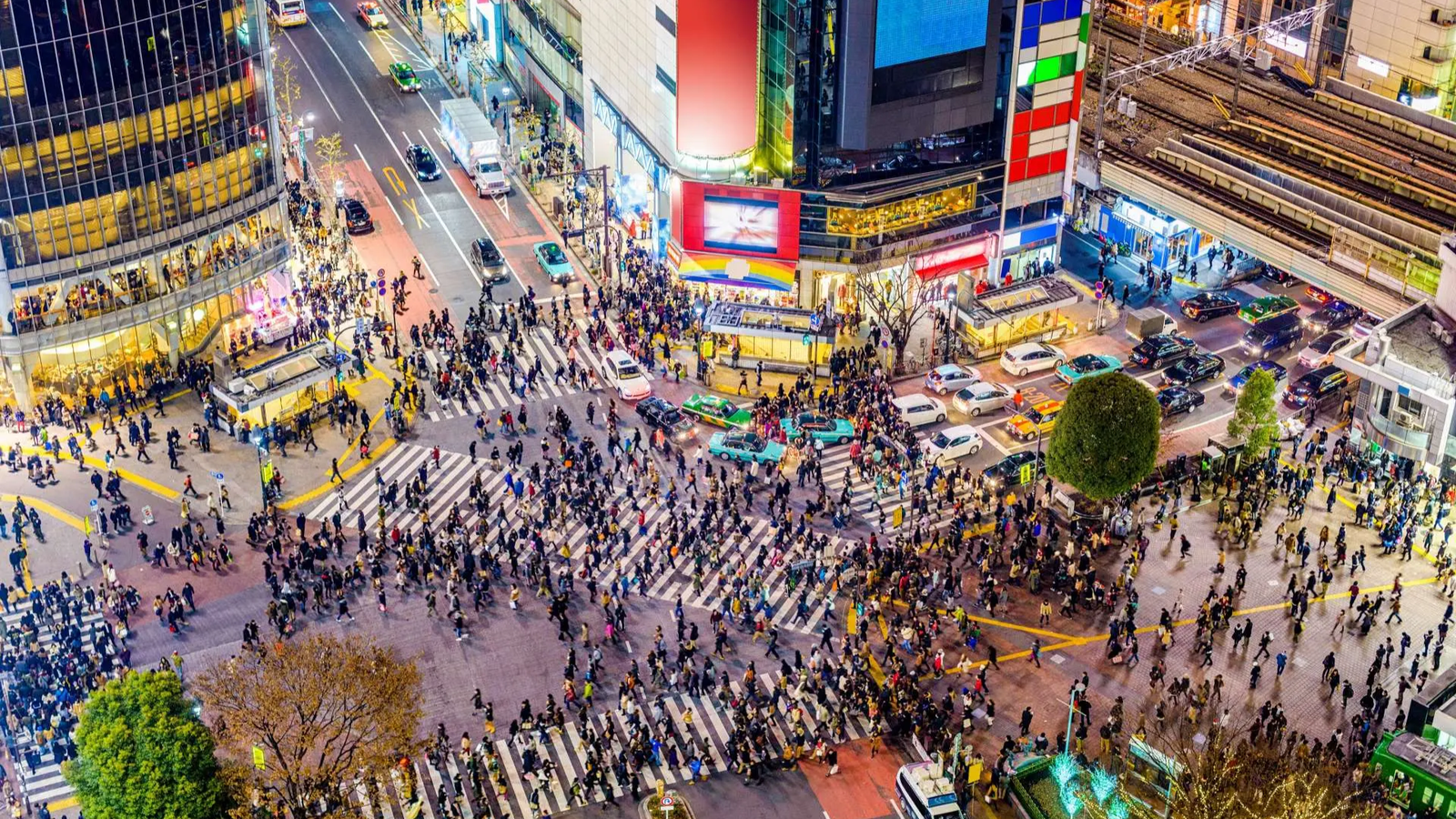 6D5N Tokyo Escape - Image - 928