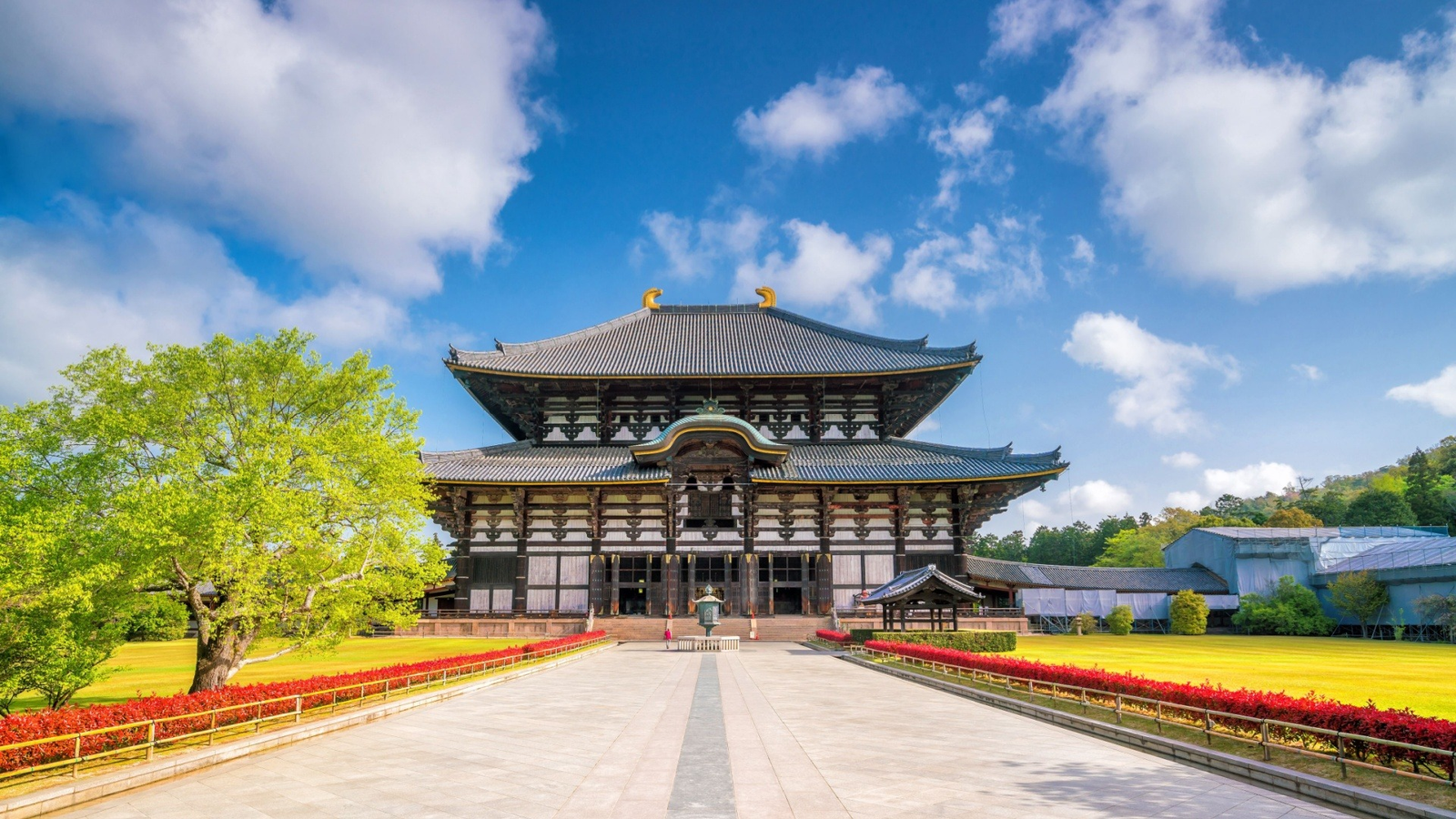 6D5N Vibrant Osaka - Image - 933