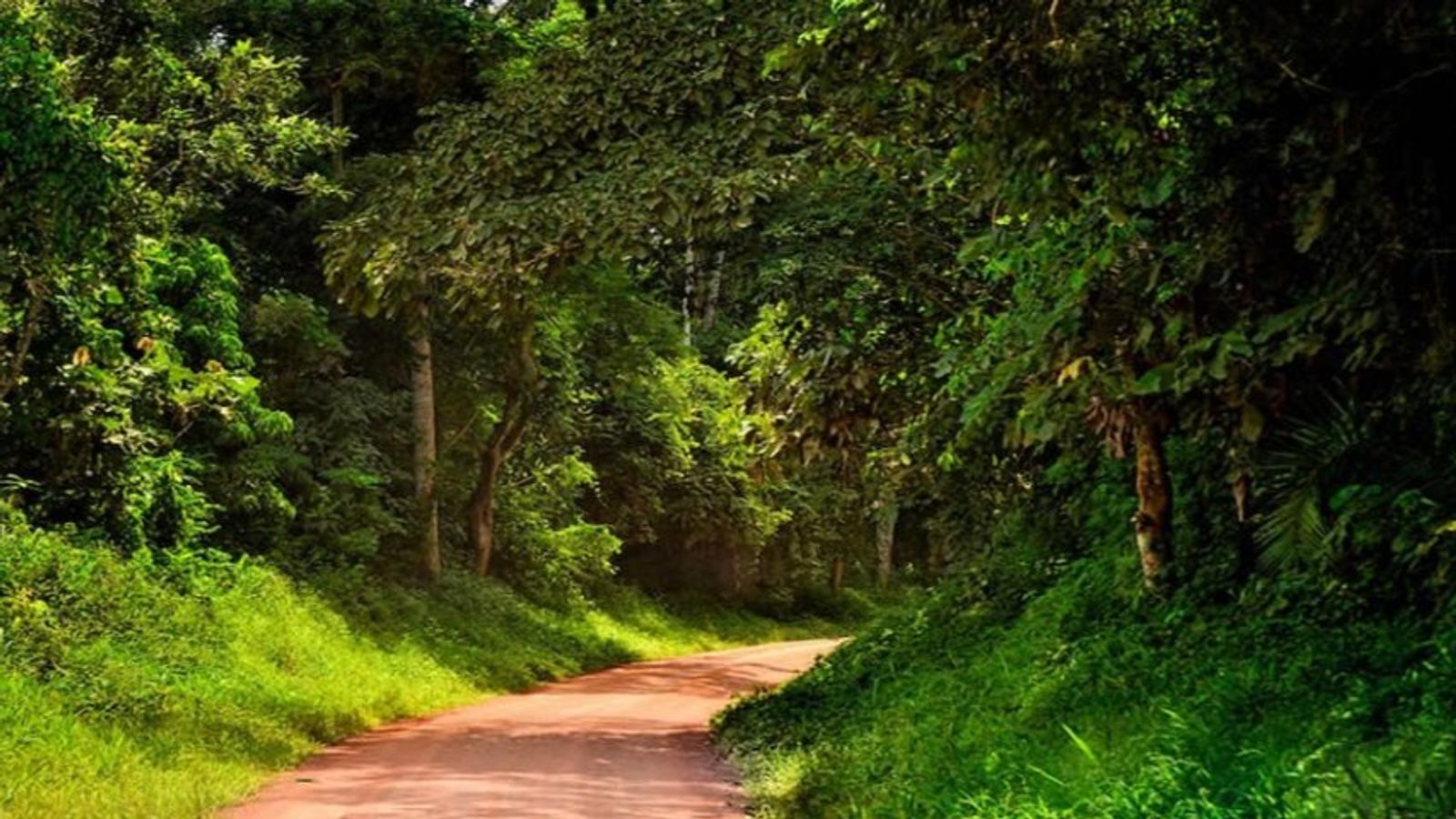 6 Days Uganda Adventure Safari - Image - 10819