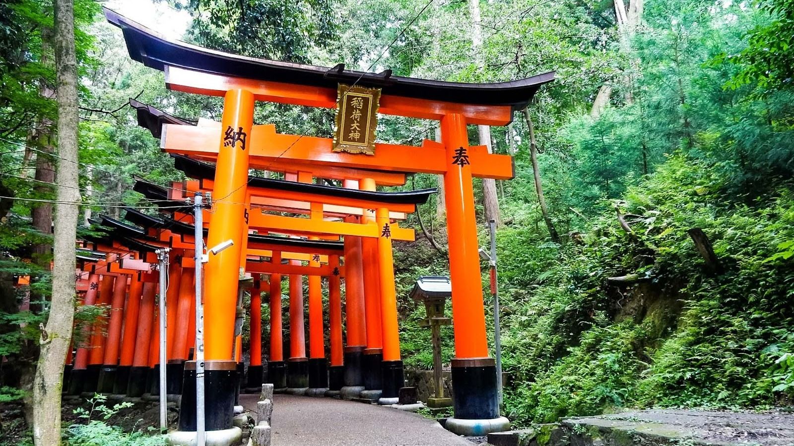 [NHẬT BẢN 5N4Đ] OSAKA - KYOTO NAGOYA - YAMANASHI - TOKYO THỦY CUNG OSAKA - DISNEYLAND - Image - 14632
