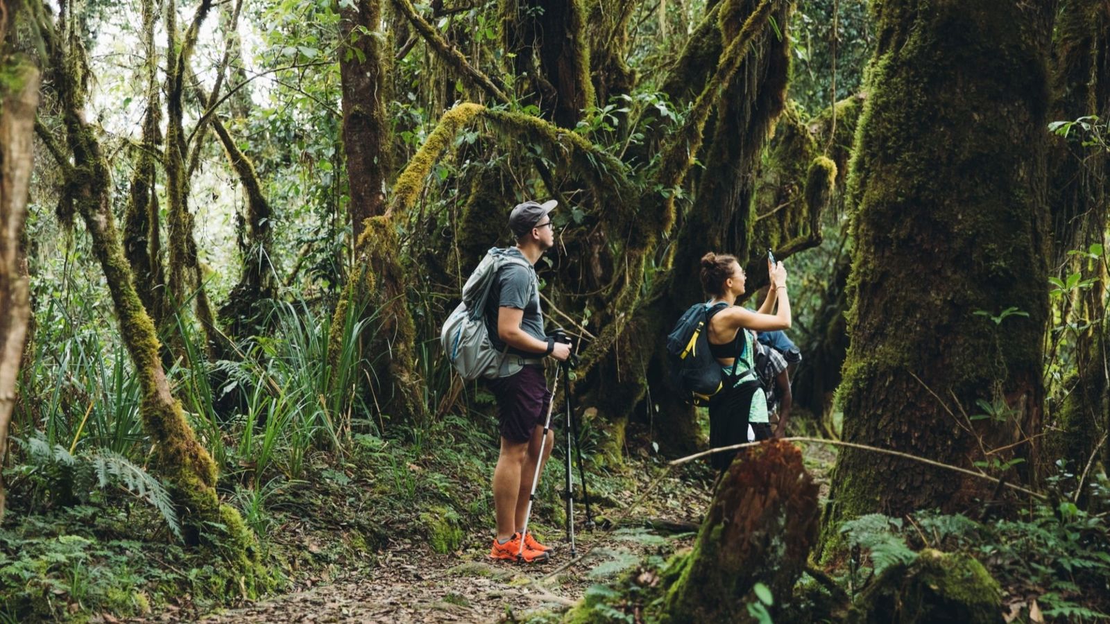 17 Days Ultimate Northern Safari and Trekking (Tanzania)