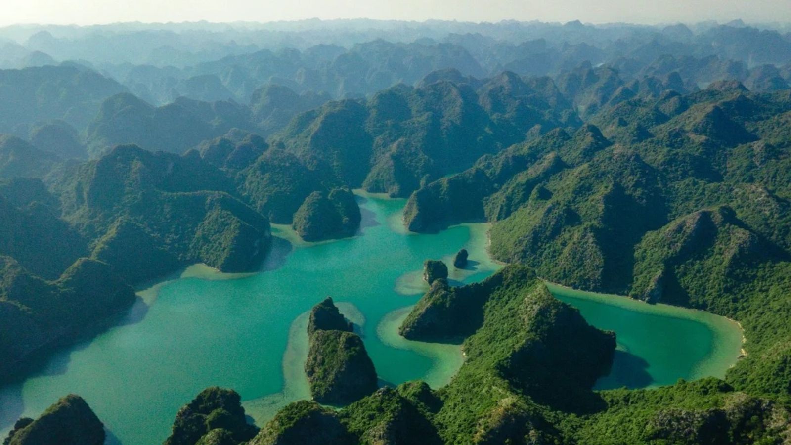 Trekking và Kayak: Rừng Cát Bà – Vịnh Lan Hạ 2N1Đ