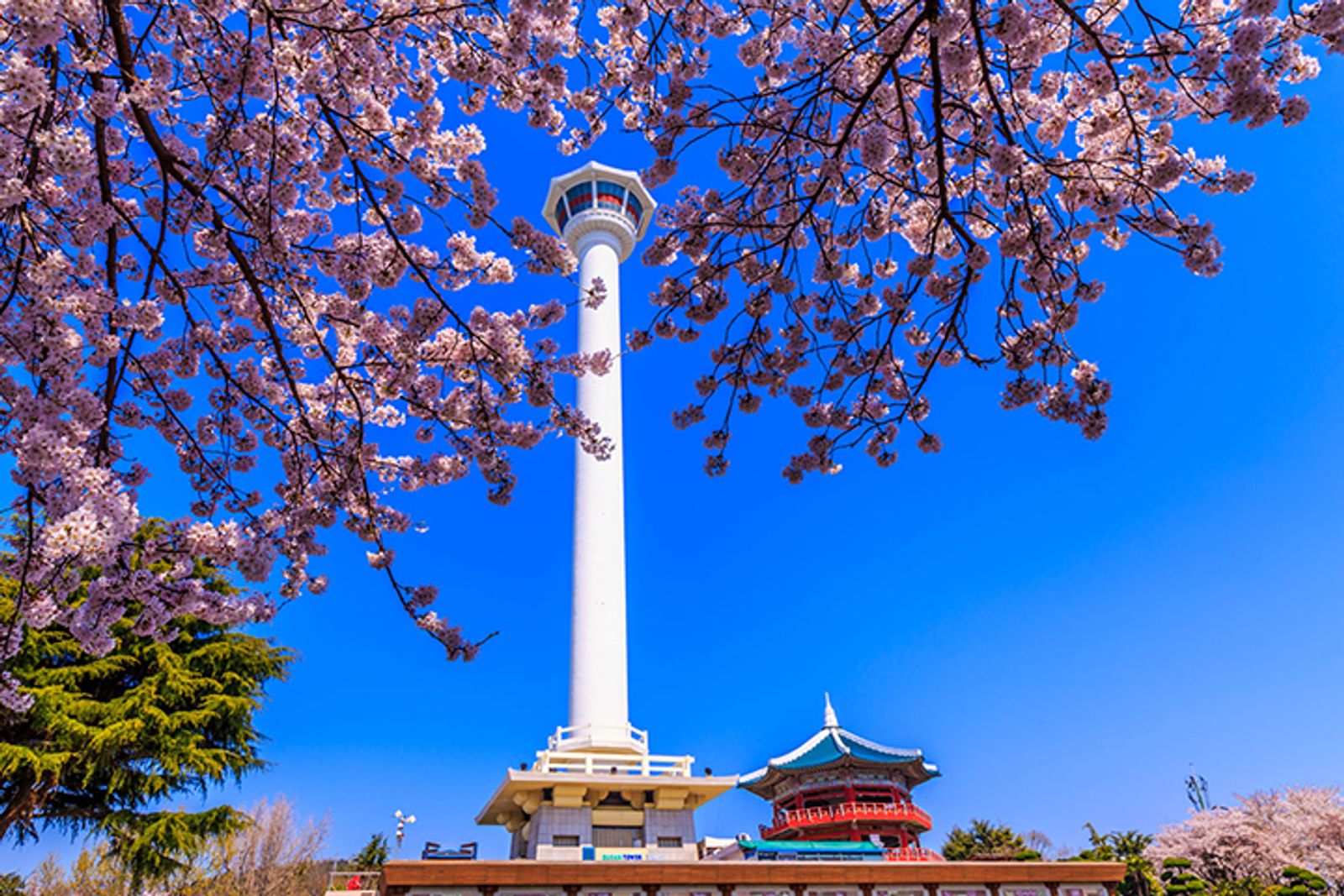 Tour Hàn Quốc: Busan - Daegu - Seoul 6 ngày 5 đêm - Image - 893