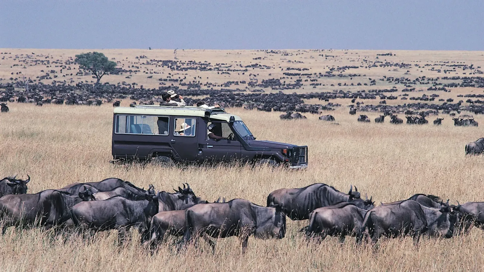7 Days Best of Kenya safari - Image - 10749