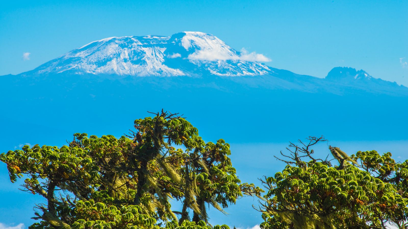 17 Days Ultimate Northern Safari and Trekking (Tanzania) - Image - 11923