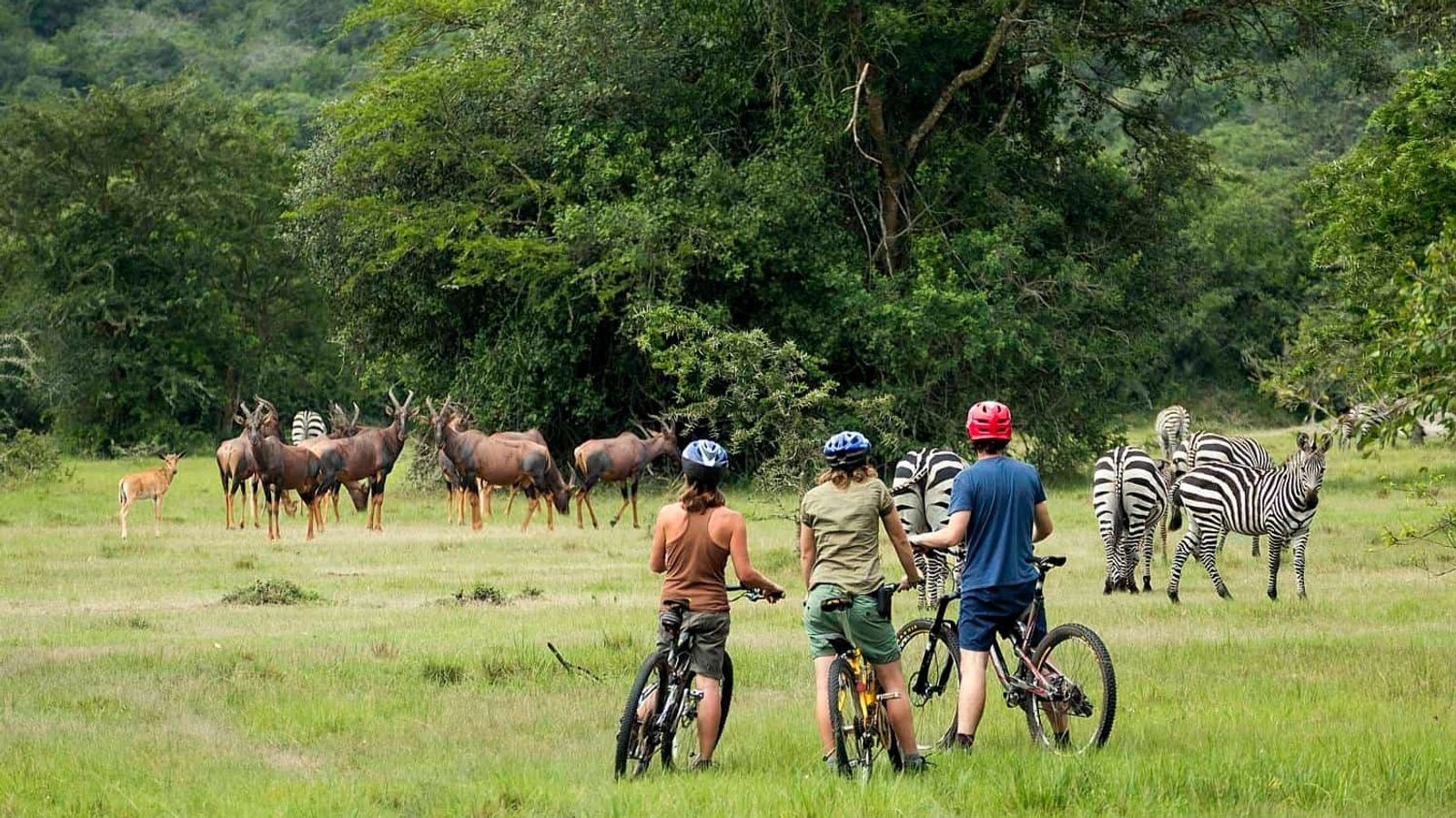 17 Days Ultimate Northern Safari and Trekking (Tanzania) - Image - 11905