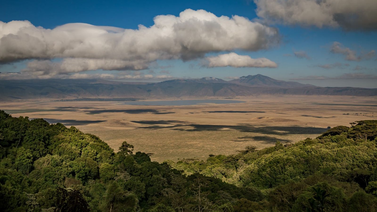 17 Days Ultimate Northern Safari and Trekking (Tanzania) - Image - 11915