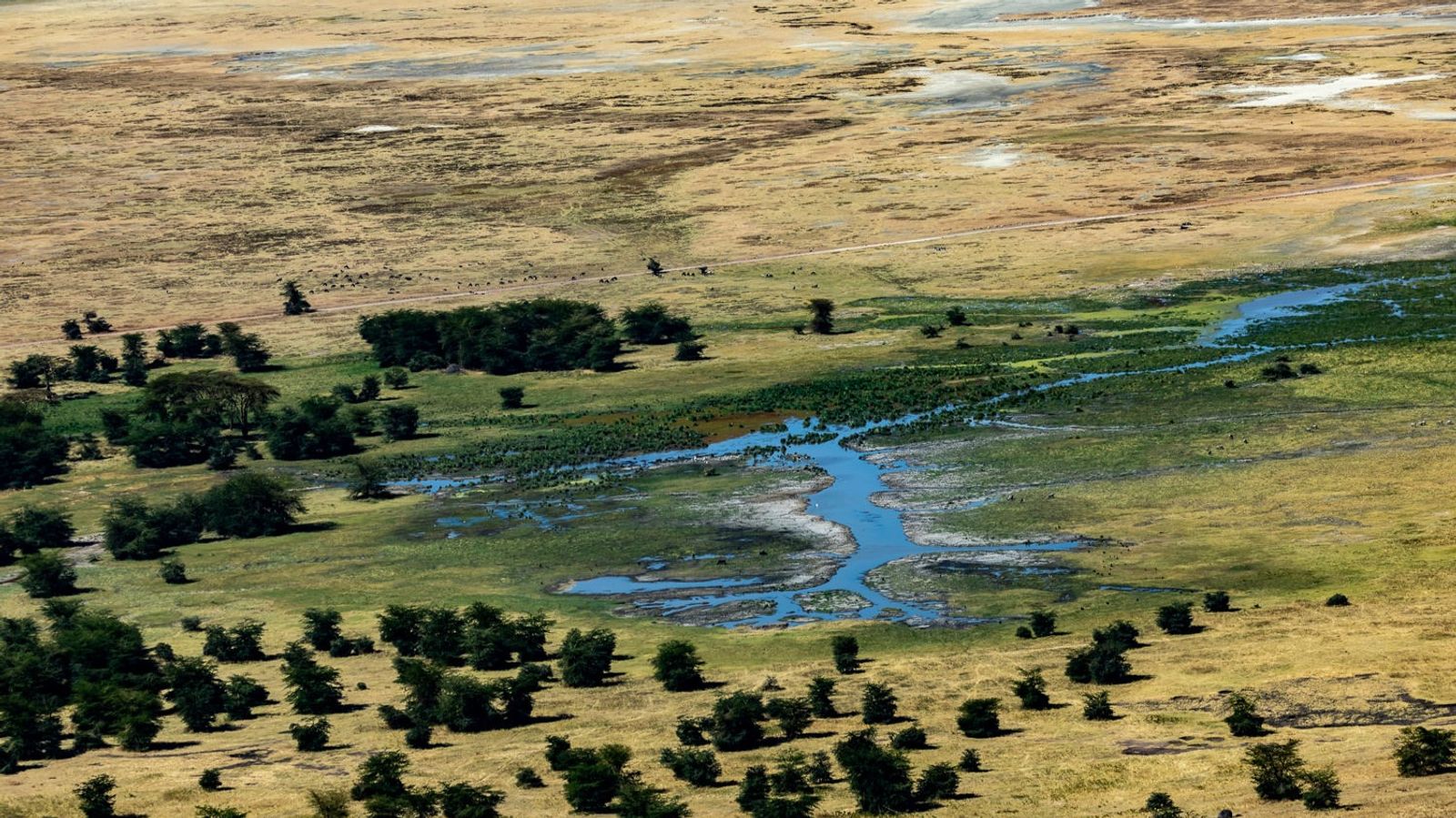 17 Days Ultimate Northern Safari and Trekking (Tanzania) - Image - 11909