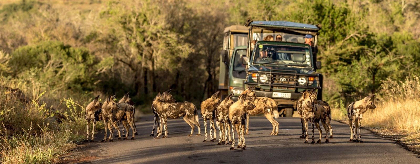 Magic of Nyerere and Mikumi National Parks - Image - 2850