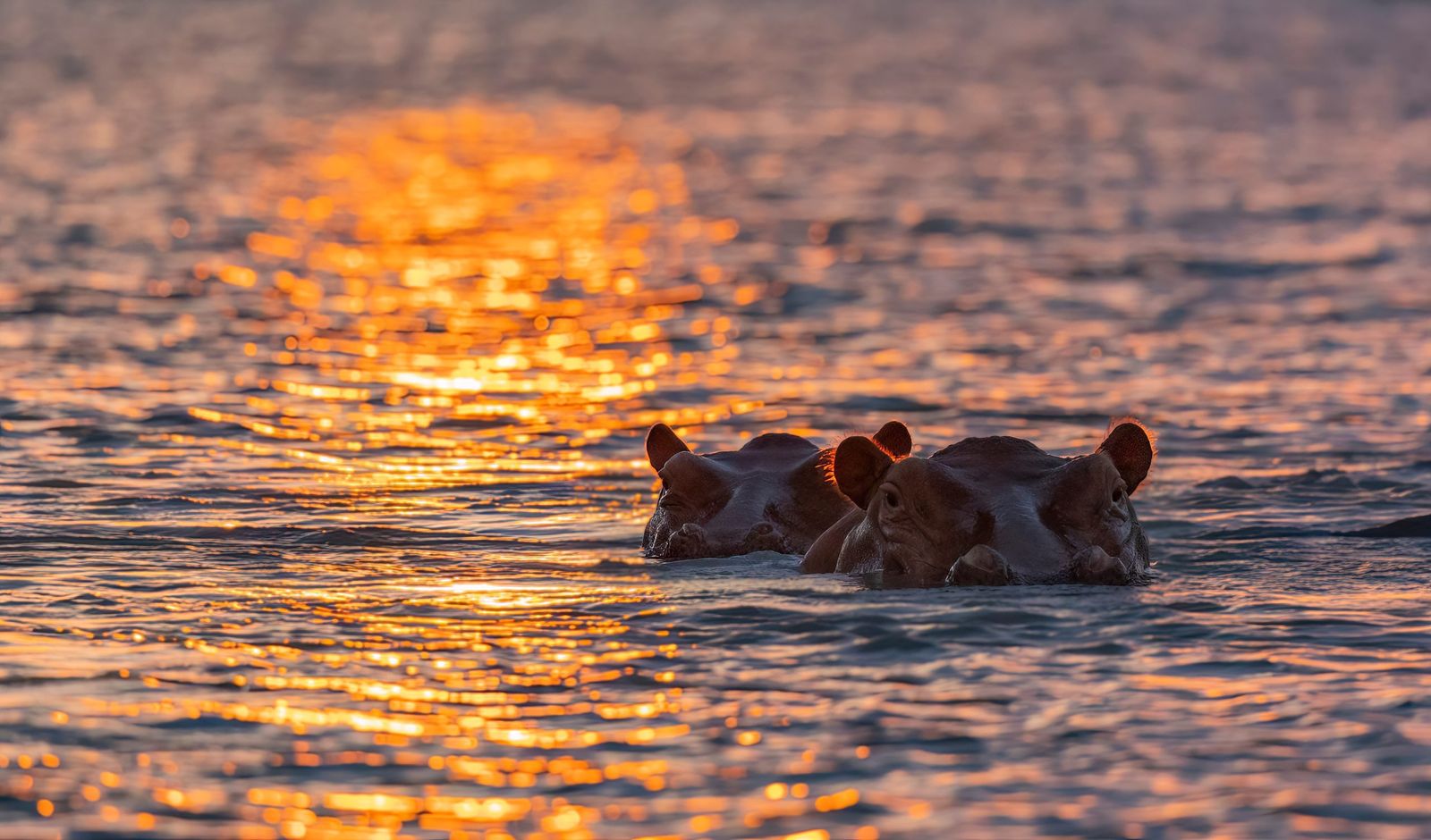 Magic of Nyerere and Mikumi National Parks