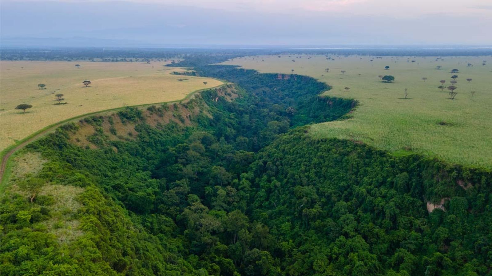 8 Days Uganda & Rwanda Safari | Gorillas, Lions & Culture - Image - 11188