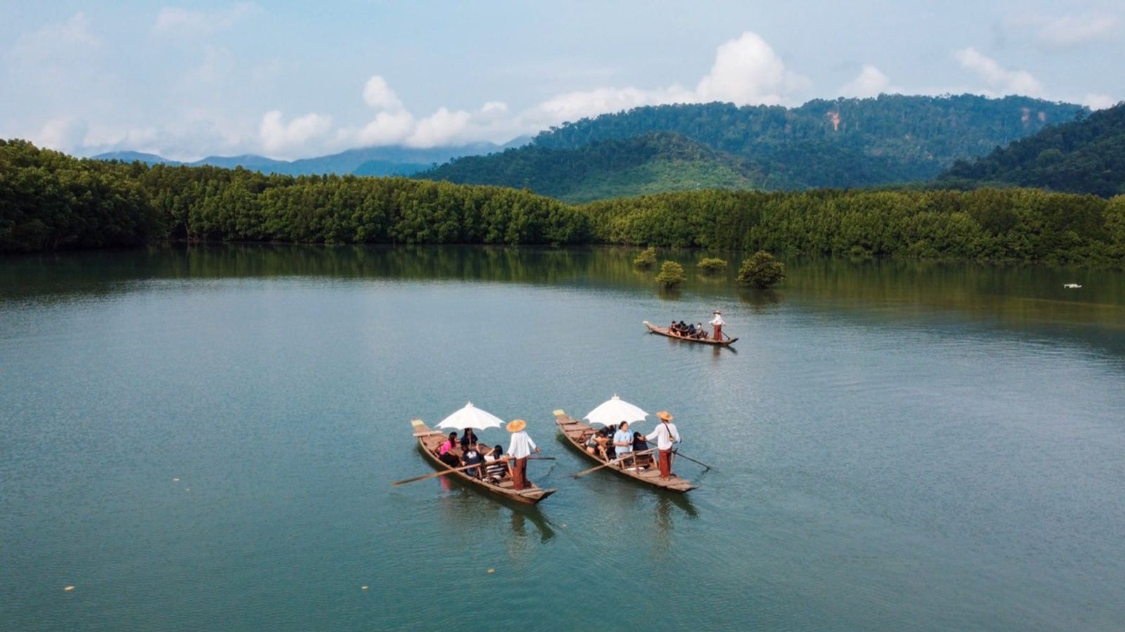 Morning Santubong Wildlife and Mangrove Cruise – Malaysia - Image - 11166