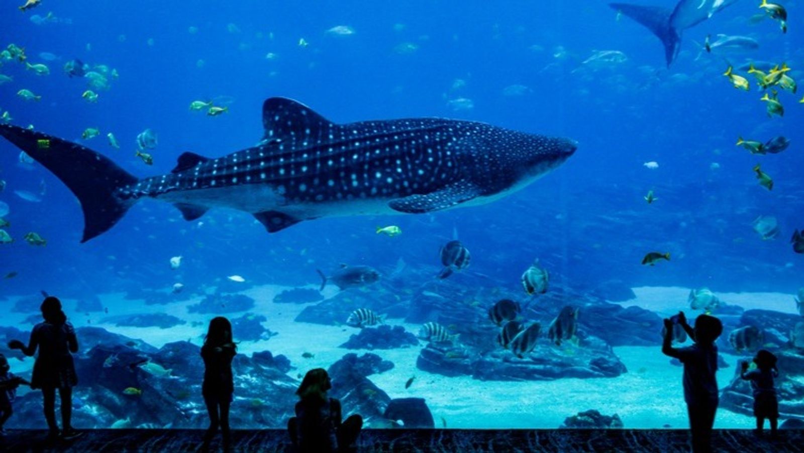 Sydney, Australia 4D3N - Image - 11657