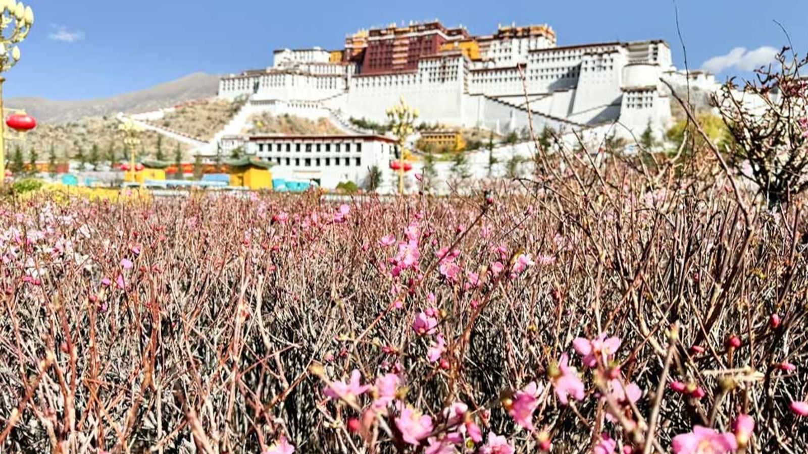 Tour du lịch TÂY TẠNG 7N6Đ - Trải nghiệm tàu đường sắt Thanh Tạng - Image - 10993