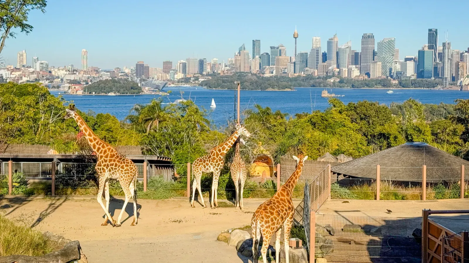 Sydney, Australia 4D3N - Image - 11659