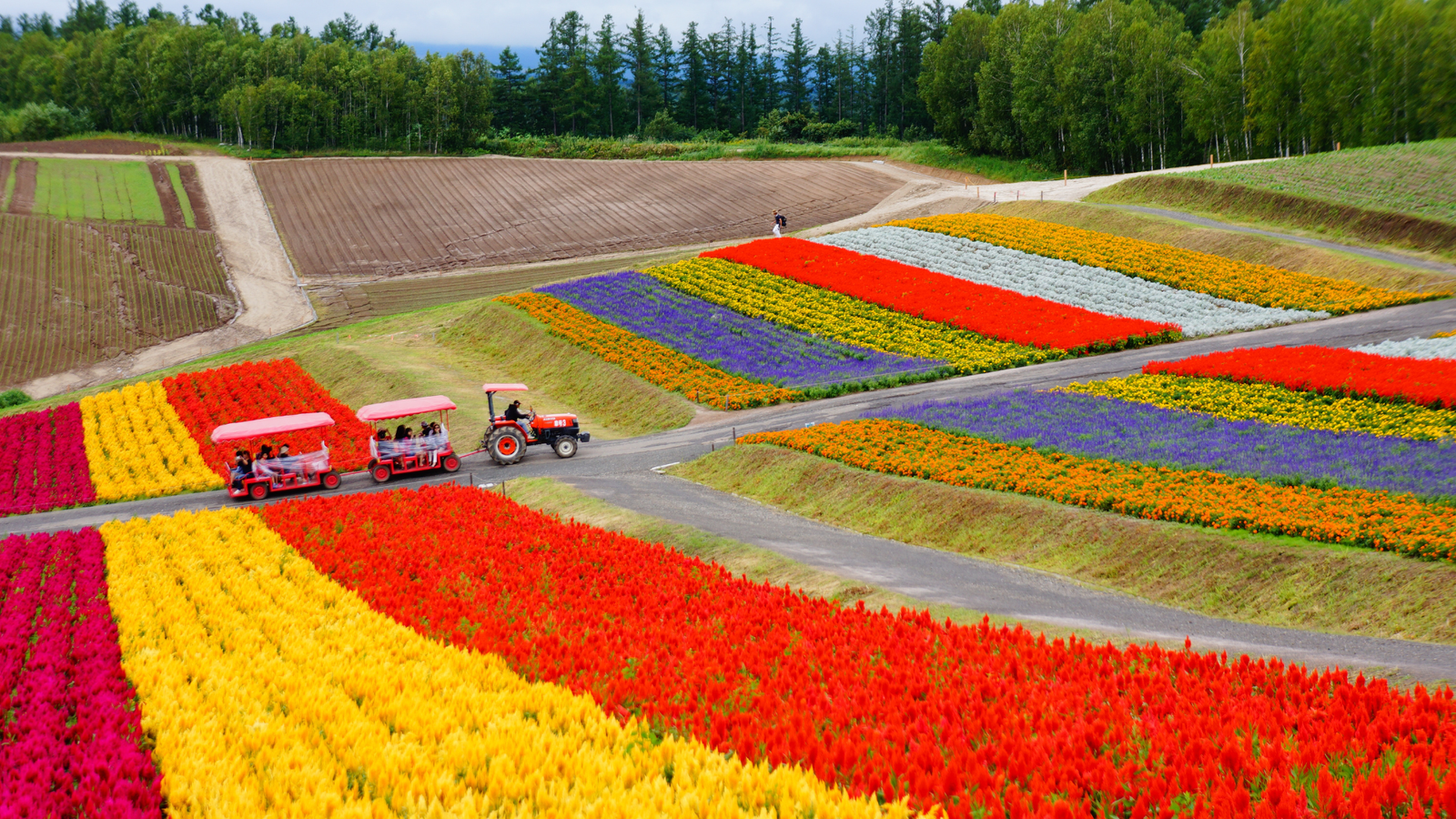 8D6N Classic Hokkaido - Image - 1004