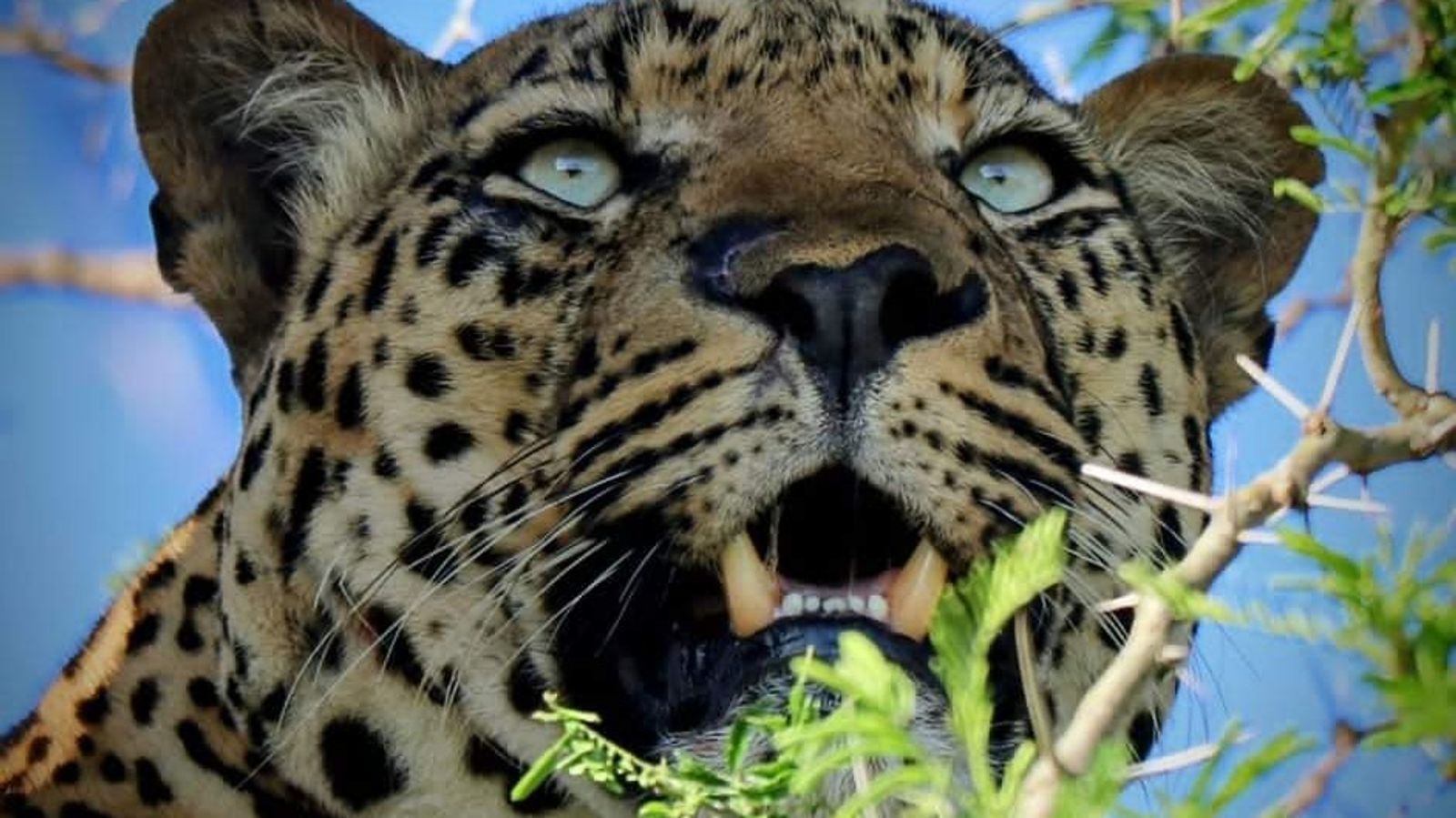 3 Days Murchison Falls Safari - Image - 9793