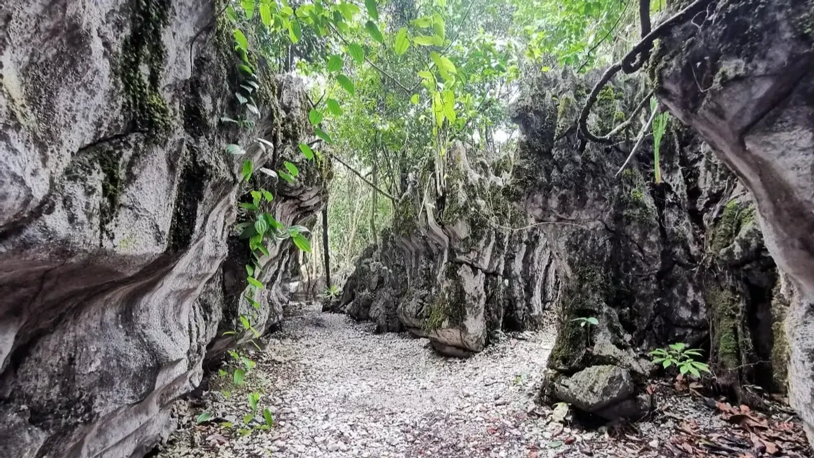 Bau Gold Mine, Caves and Rock Maze – Malaysia Day Tour - Image - 11158