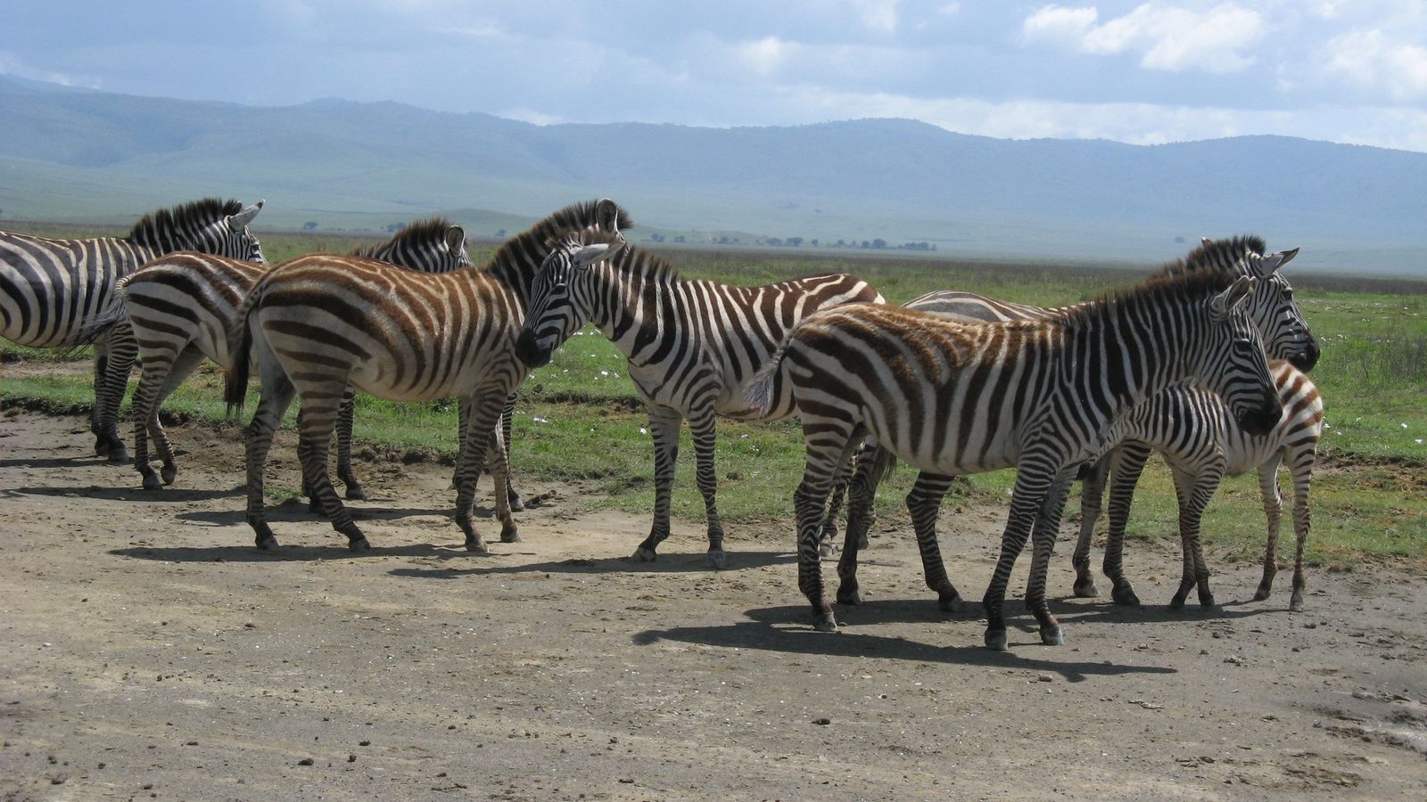 3-Day Mid Range Safari - Serengeti and Ngorongoro Crater - Image - 8446