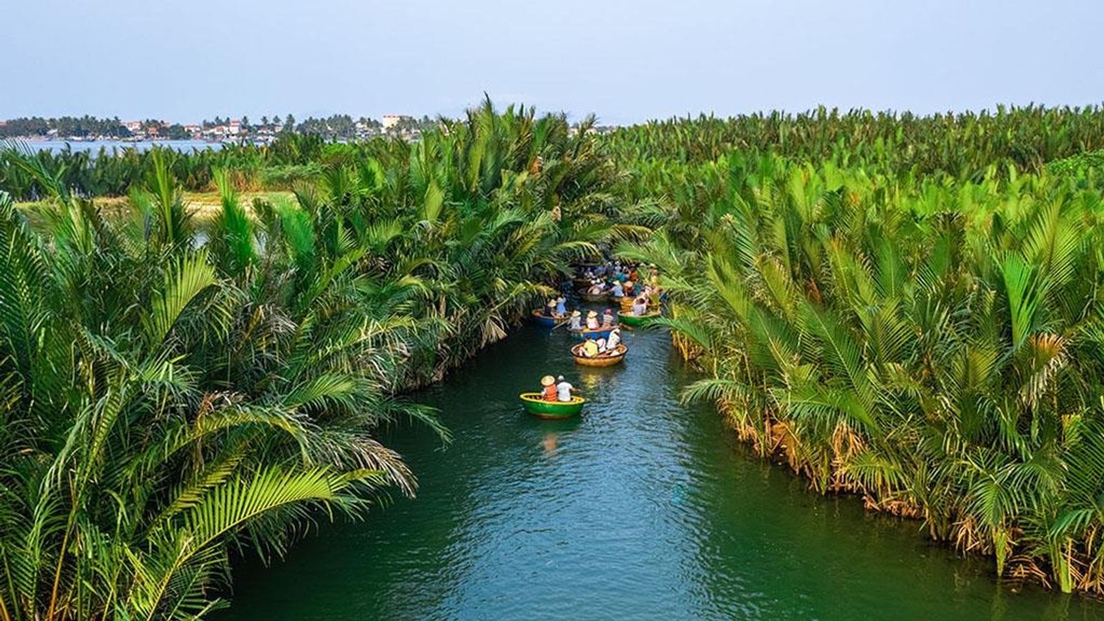 Tour Sơn Trà - Rừng Dừa 7 mẫu - Hội An - Image - 6865