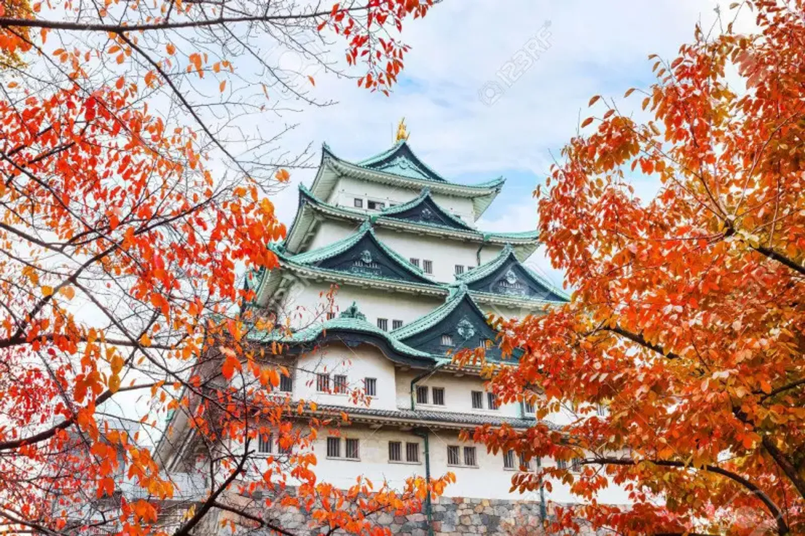 Nagoya – Nara – Osaka – Kyoto – Mount Fuji – Tokyo