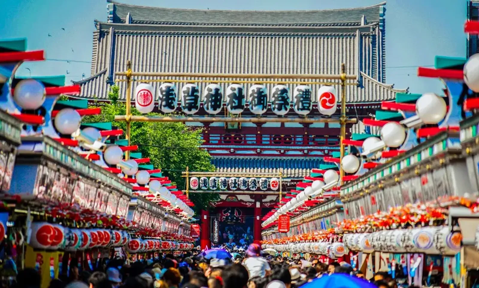 Hanoi – Tokyo – Mount Fuji – Yokohama – Odaiba Bay - Image - 521