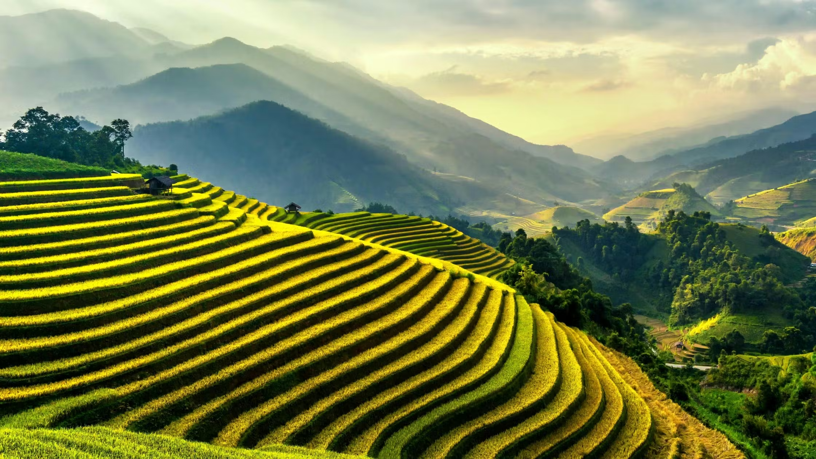 Tur Sehari Terbaik di Ubud: Budaya, Alam, dan Seni - Bali Full Day Tour
