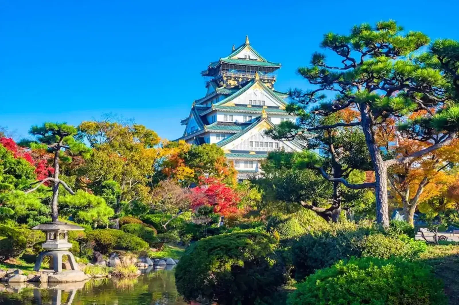 Autumn Japan Tour: Osaka - Kobe - Kyoto - Yamanashi, Flying Vietnam Airlines from Saigon (Ho Chi Minh City) 2025 - Image - 543