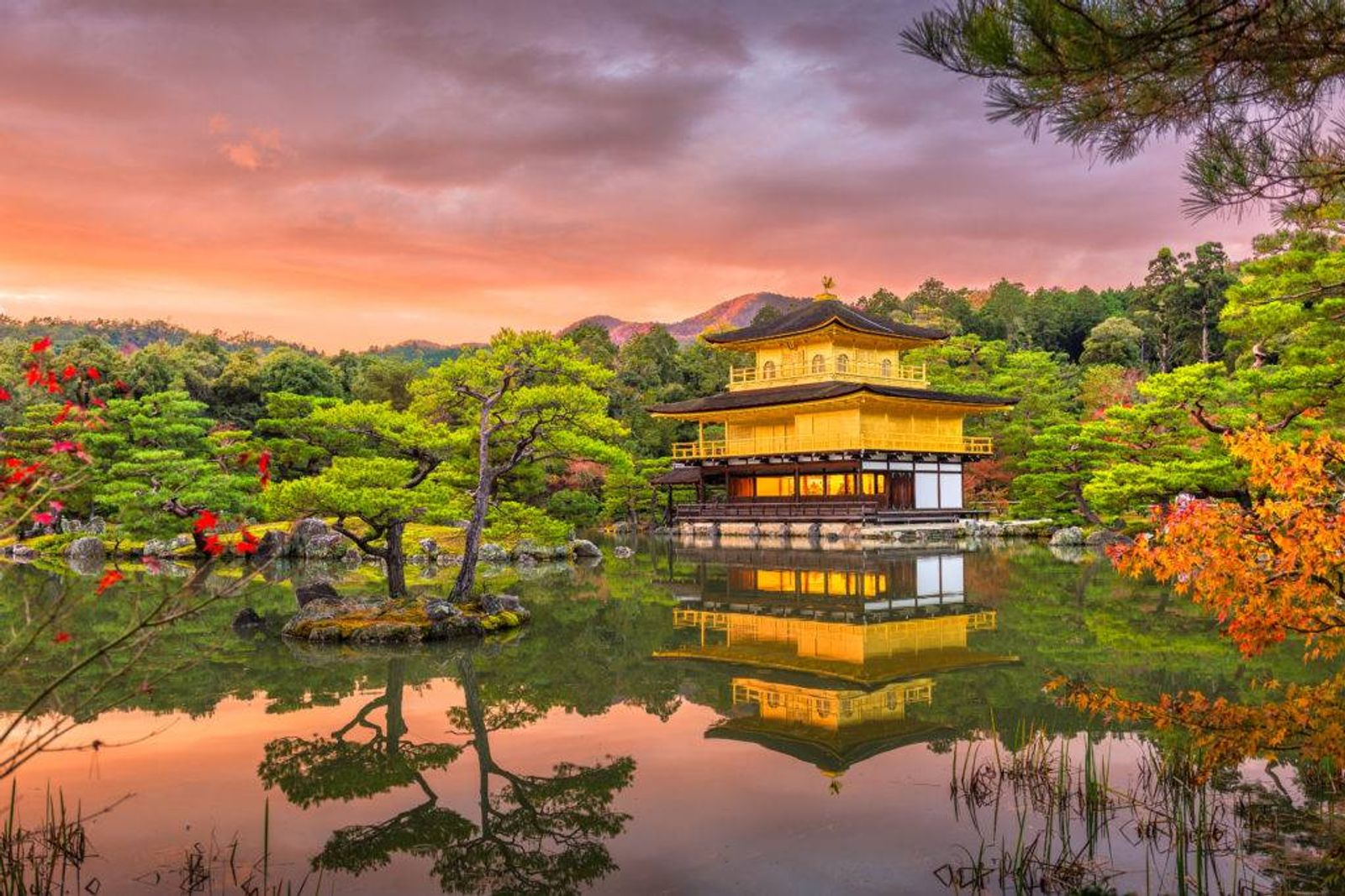 OSAKA – KYOTO – FUJI