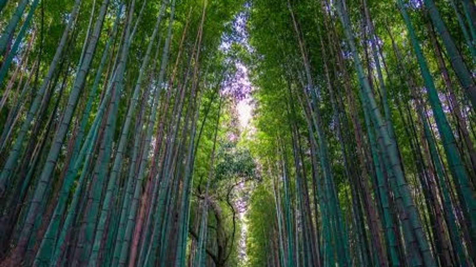 FREE AND EASY OSAKA