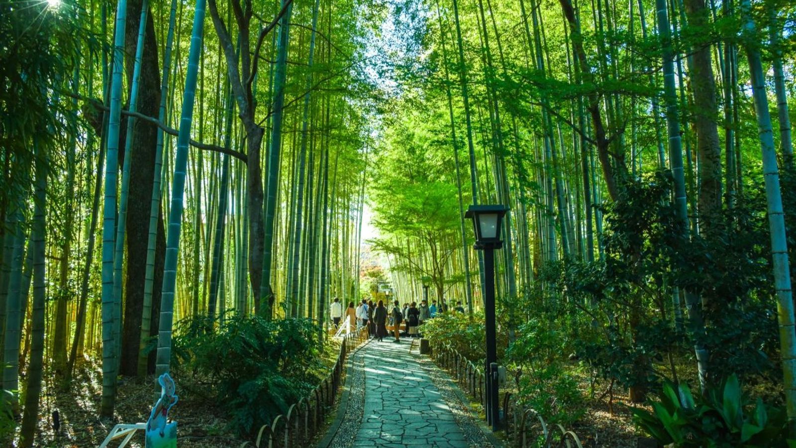 [NHẬT BẢN 5N4Đ] OSAKA - KYOTO NAGOYA - YAMANASHI - TOKYO THỦY CUNG OSAKA - DISNEYLAND