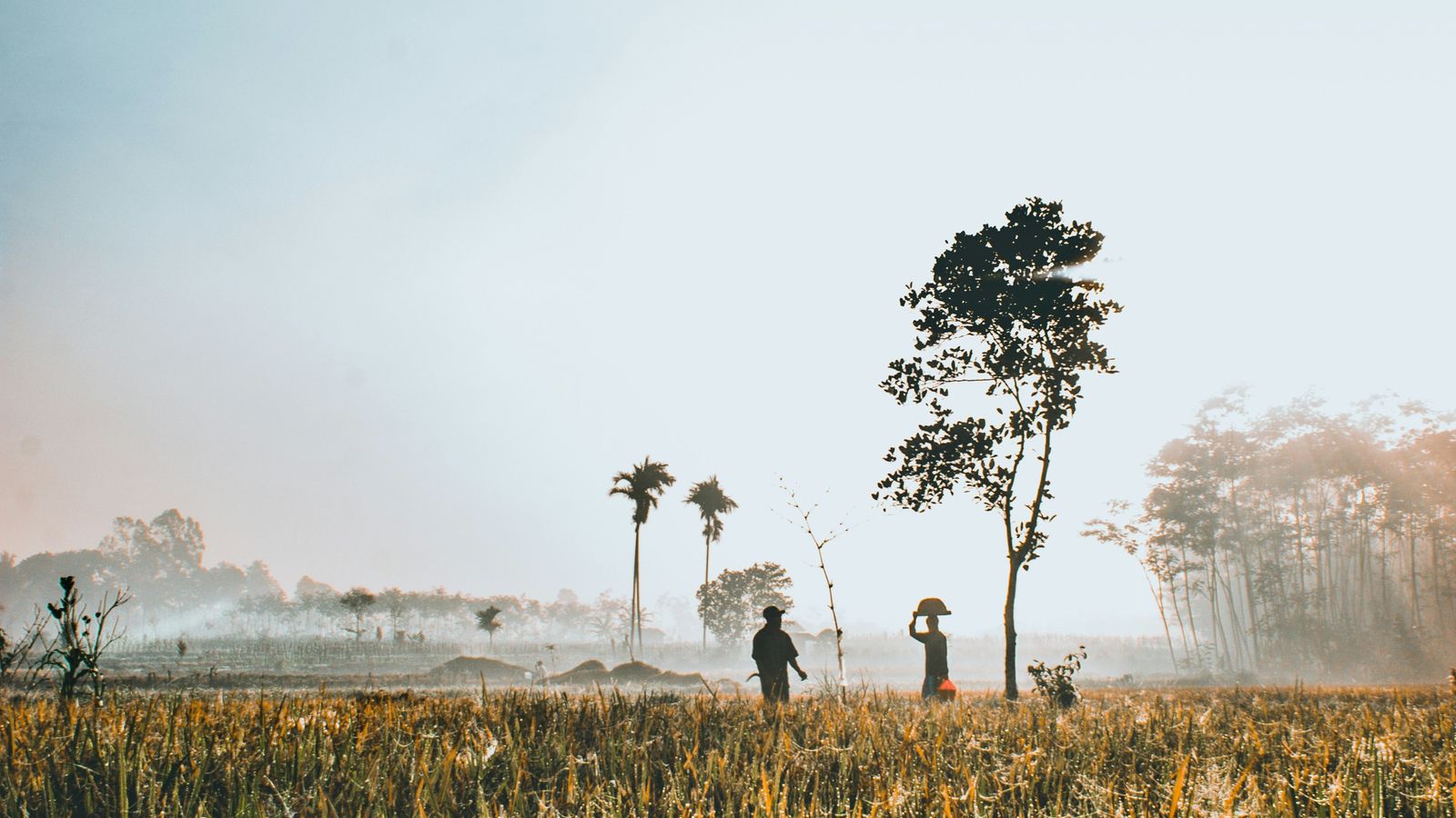 3-Day Local Holiday Home Stay with Custom Day Tour