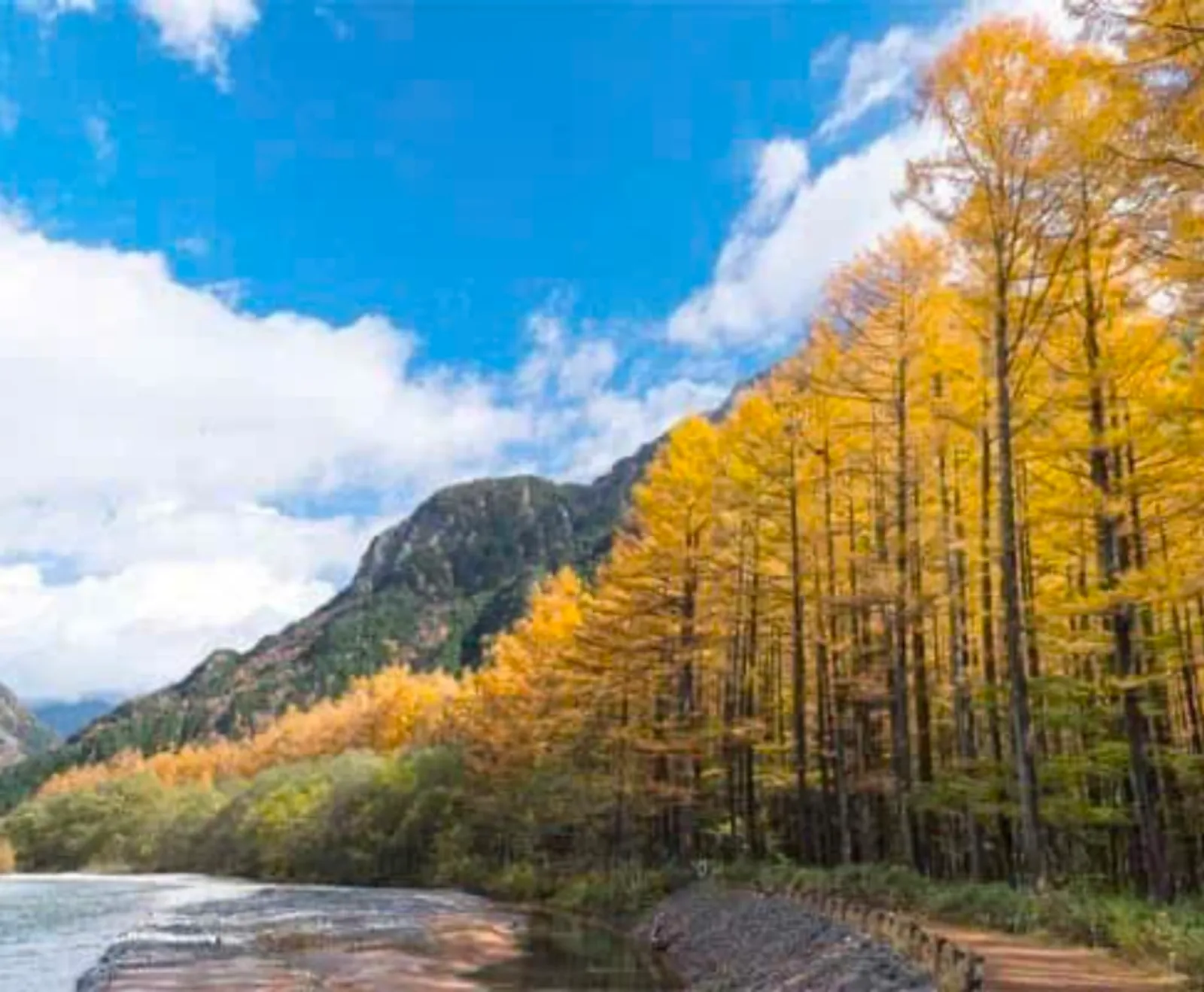 Japan's Golden Route: Osaka – Kyoto – Shirakawago – Fuji – Tokyo – Narita - Image - 533
