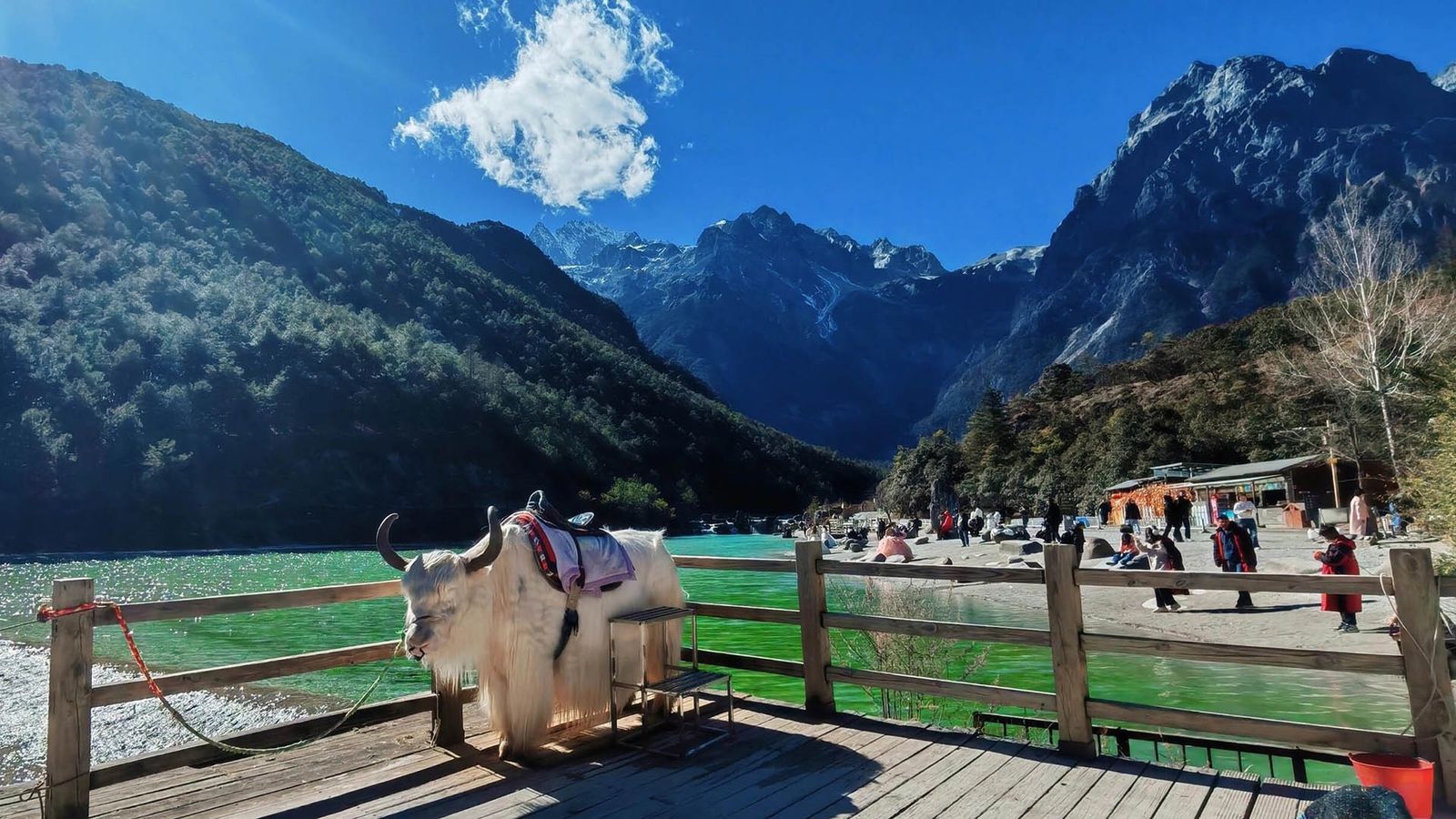 Wonderful Kuming - Shangrila