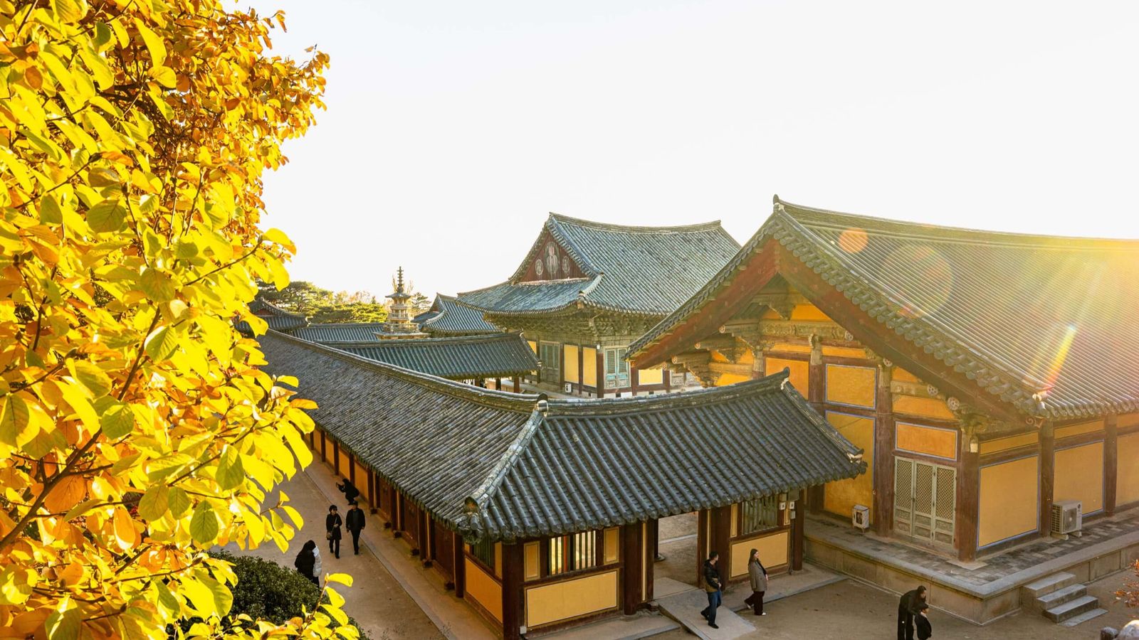 KHÁM PHÁ HÀN QUỐC 6N5Đ - BUSAN - SEOUL - NAMI - Image - 25725