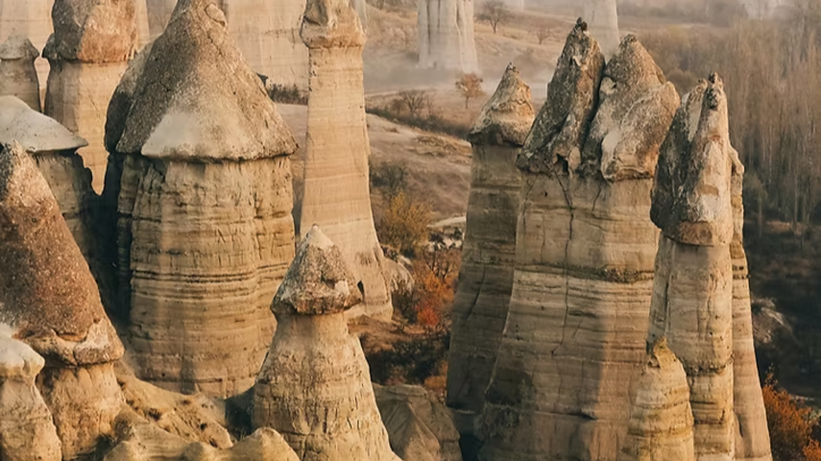 Beautiful Turkey - Image - 11093